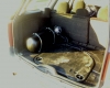 Ford Focus 1.6 16v ZETEK 